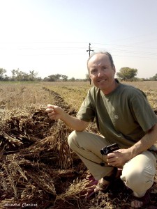 psyllium bernard claviere